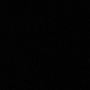 Meet your Posher, Abbey